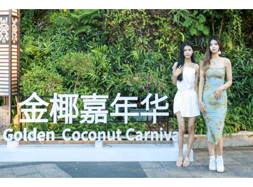 三亚旅游文化发展集团有限公司 三亚旅游文化发展集团有限公司