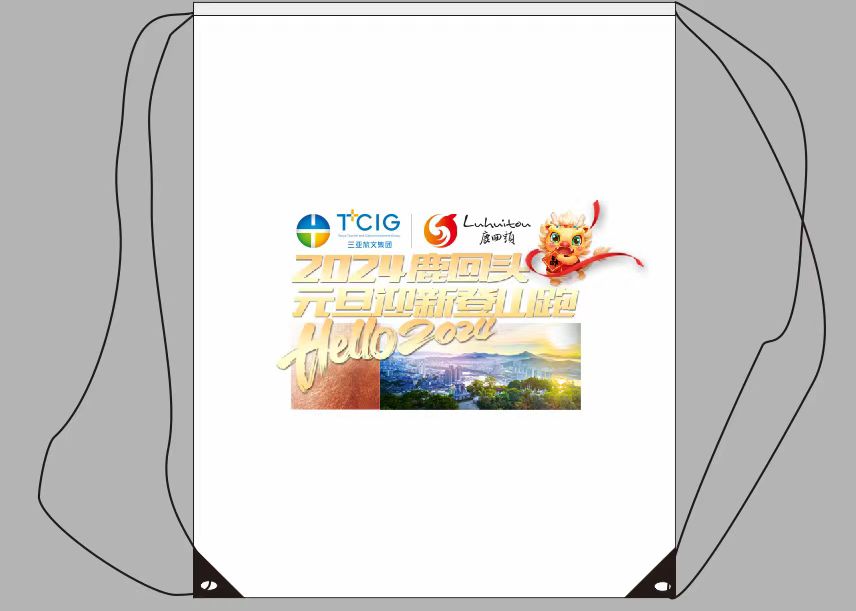 三亚旅游文化发展集团有限公司