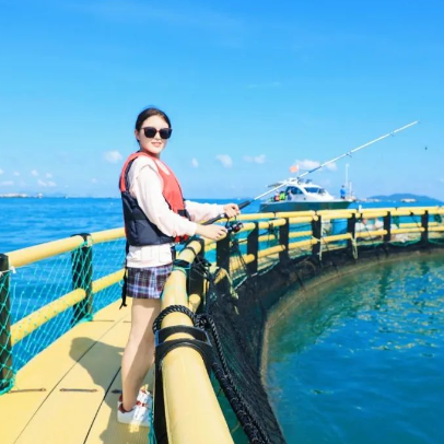 三亚旅游文化发展集团有限公司 三亚旅游文化发展集团有限公司