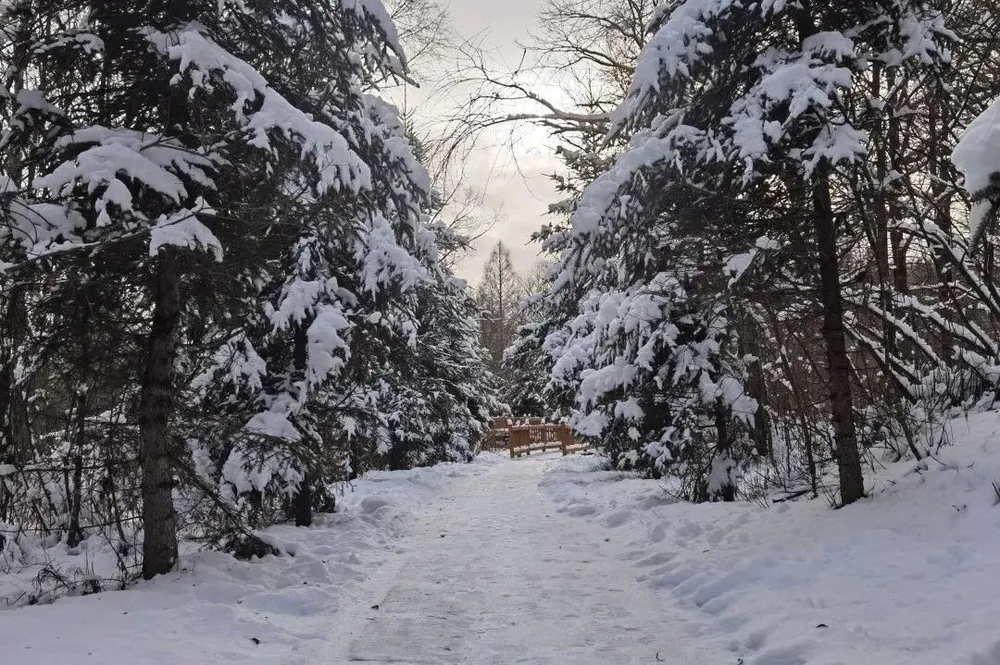 三亚旅游文化发展集团有限公司 三亚旅游文化发展集团有限公司