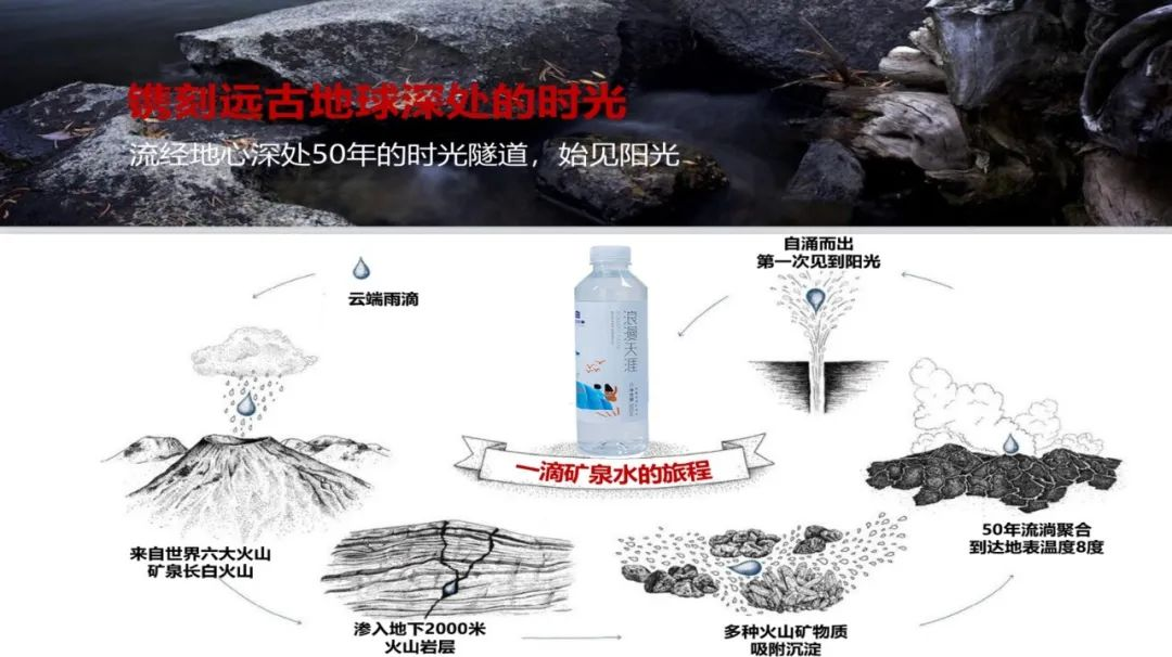 三亚旅游文化发展集团有限公司 三亚旅游文化发展集团有限公司