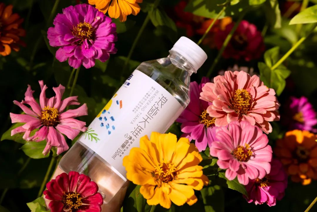 三亚旅游文化发展集团有限公司 三亚旅游文化发展集团有限公司