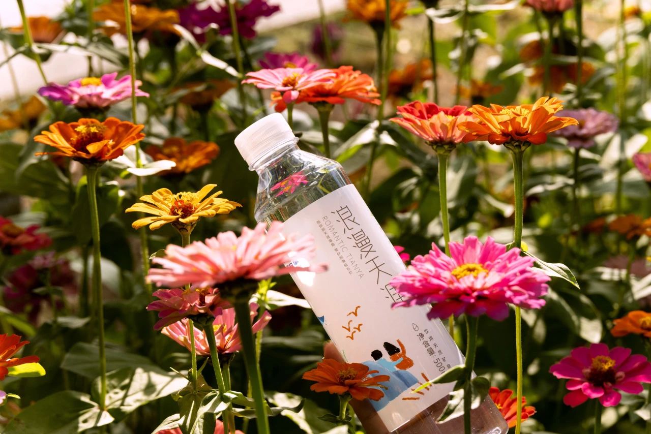 三亚旅游文化发展集团有限公司 三亚旅游文化发展集团有限公司