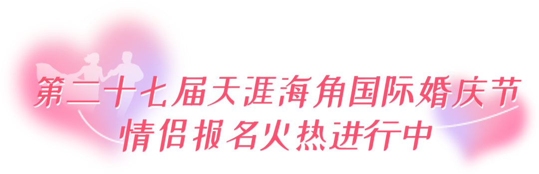 三亚旅游文化发展集团有限公司 三亚旅游文化发展集团有限公司