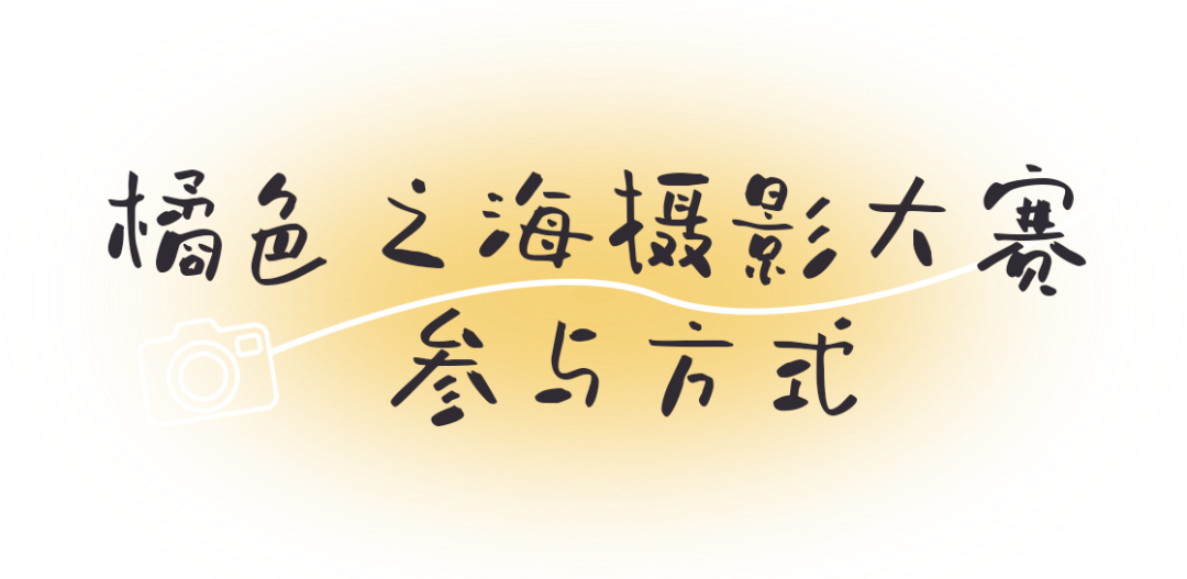 三亚旅游文化发展集团有限公司 三亚旅游文化发展集团有限公司