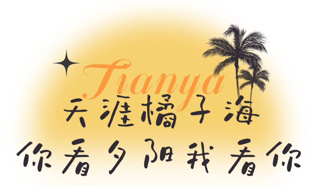 三亚旅游文化发展集团有限公司 三亚旅游文化发展集团有限公司