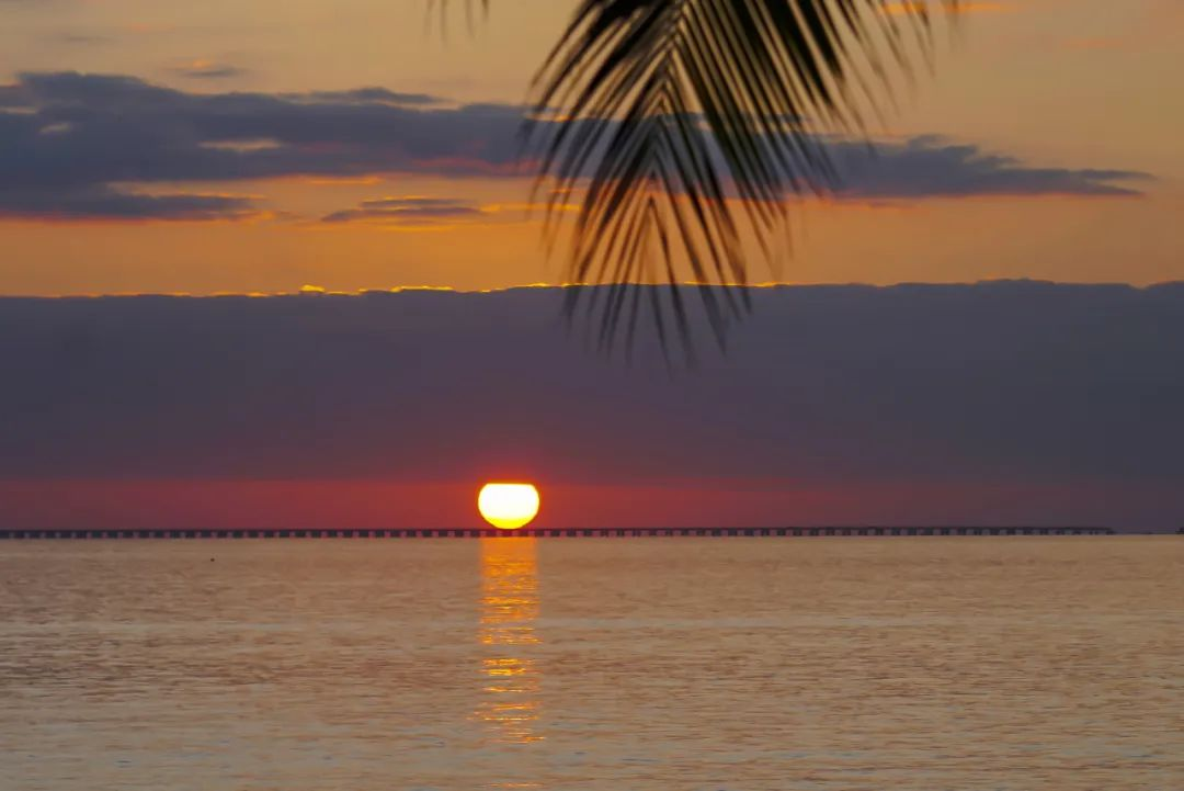 三亚旅游文化发展集团有限公司 三亚旅游文化发展集团有限公司