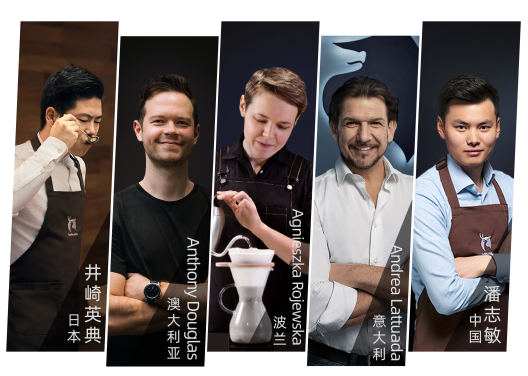 三亚旅游文化发展集团有限公司 三亚旅游文化发展集团有限公司