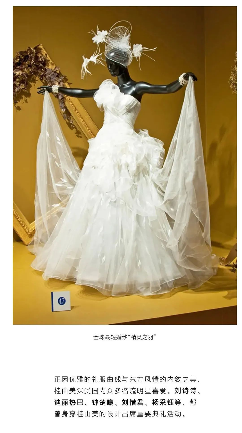 三亚旅游文化发展集团有限公司