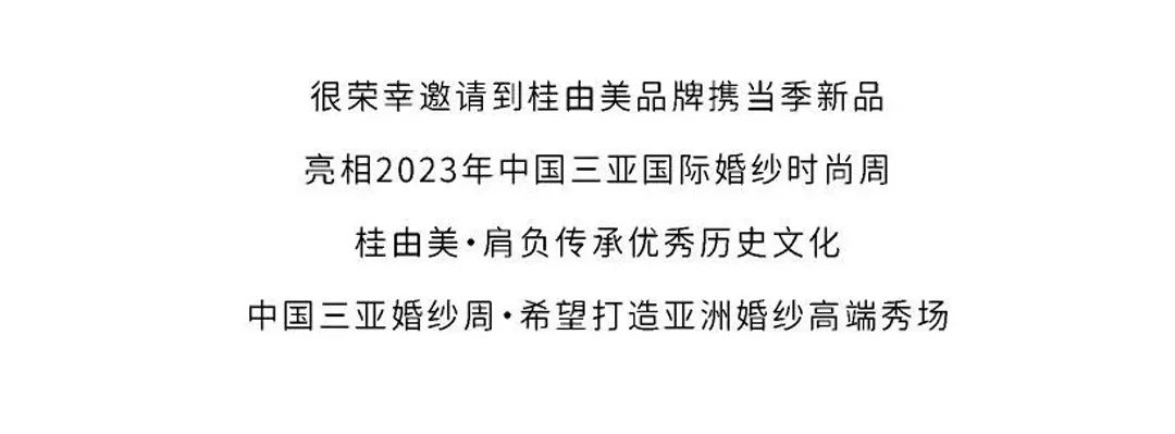 三亚旅游文化发展集团有限公司