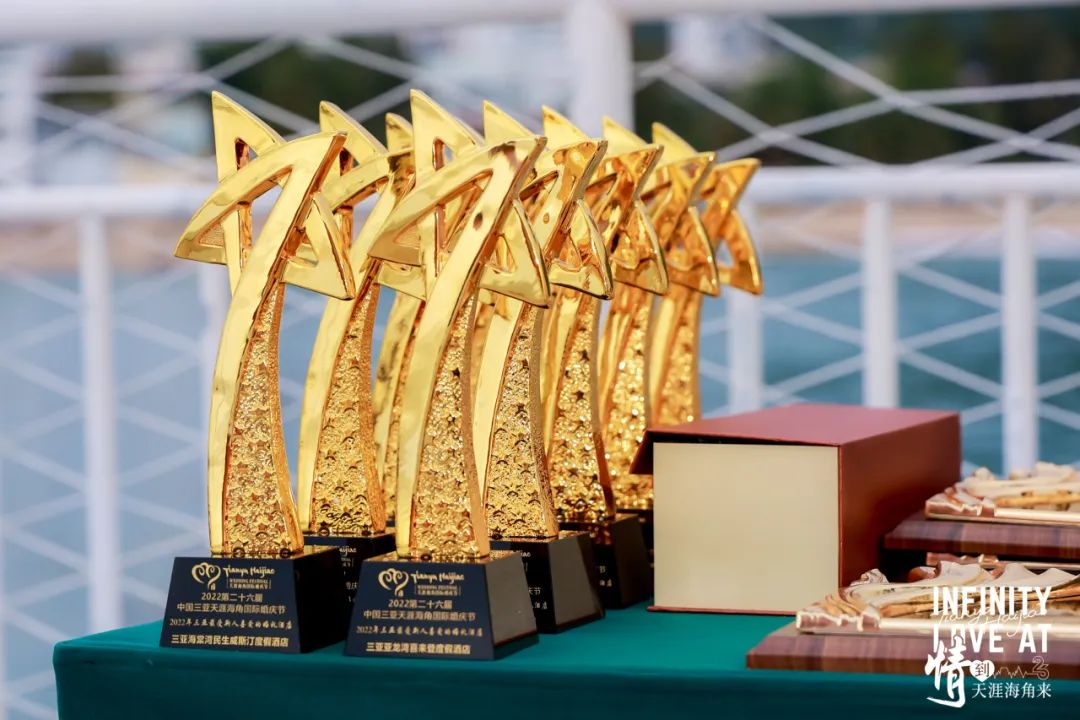 三亚旅游文化发展集团有限公司 三亚旅游文化发展集团有限公司