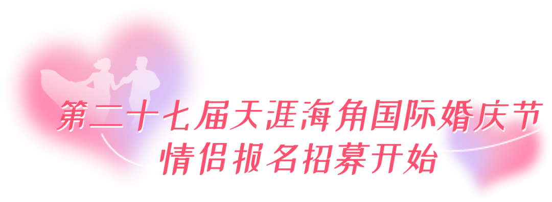 三亚旅游文化发展集团有限公司 三亚旅游文化发展集团有限公司