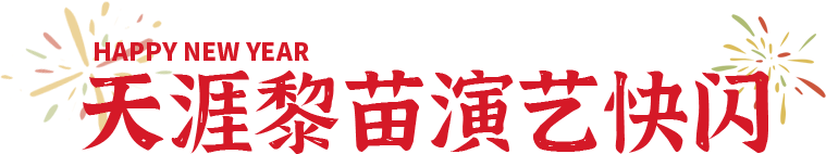 三亚旅游文化发展集团有限公司 三亚旅游文化发展集团有限公司