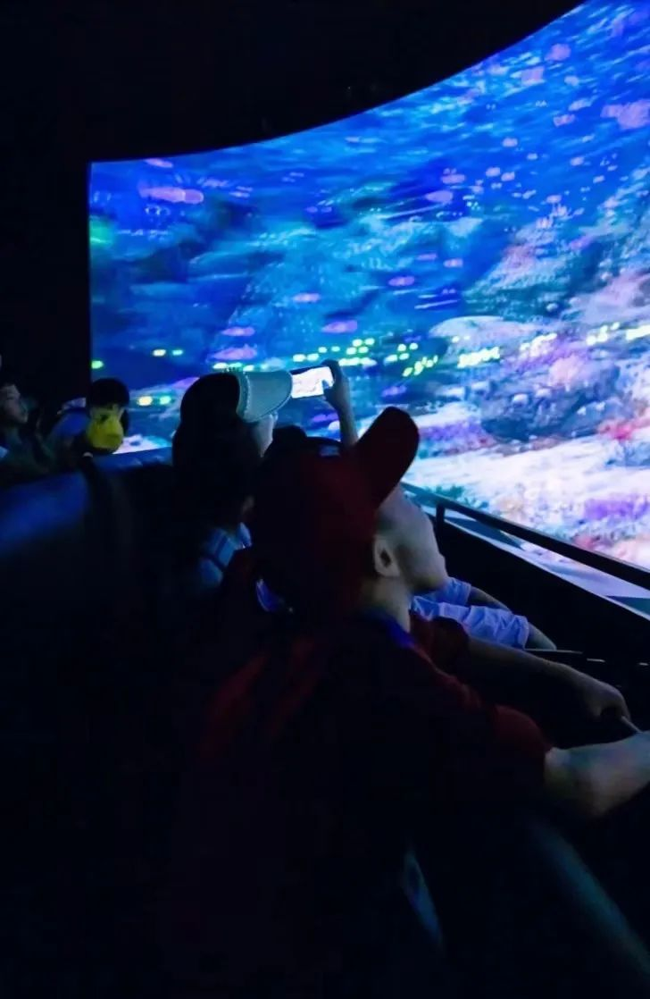 三亚旅游文化发展集团有限公司 三亚旅游文化发展集团有限公司