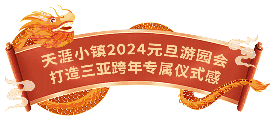 三亚旅游文化发展集团有限公司