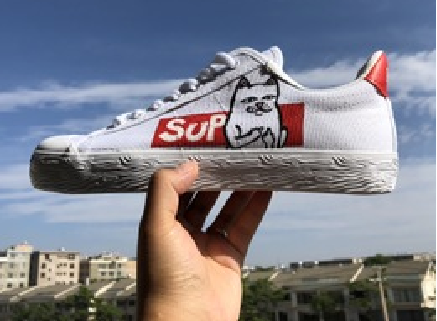 三亚旅游文化发展集团有限公司