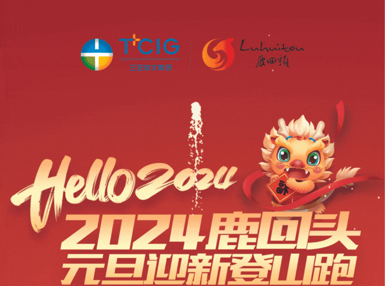 三亚旅游文化发展集团有限公司 三亚旅游文化发展集团有限公司