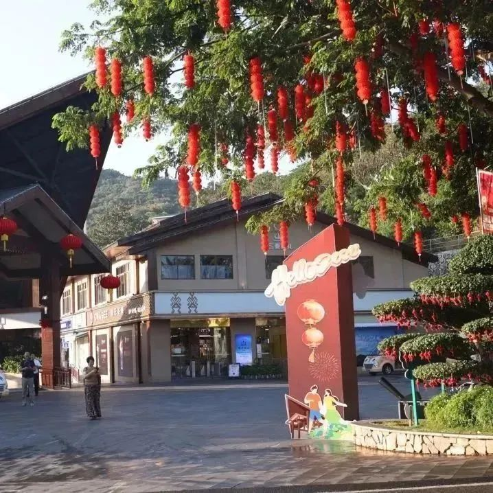 三亚旅游文化发展集团有限公司 三亚旅游文化发展集团有限公司