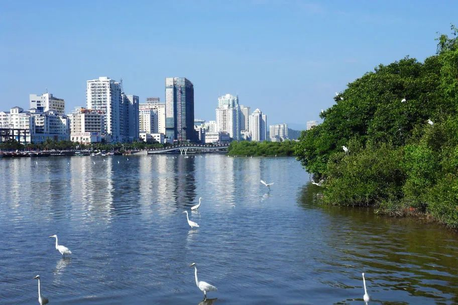 三亚旅游文化发展集团有限公司