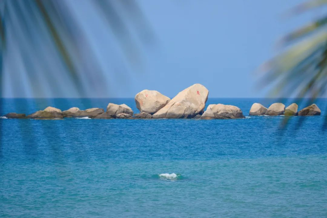 三亚旅游文化发展集团有限公司 三亚旅游文化发展集团有限公司