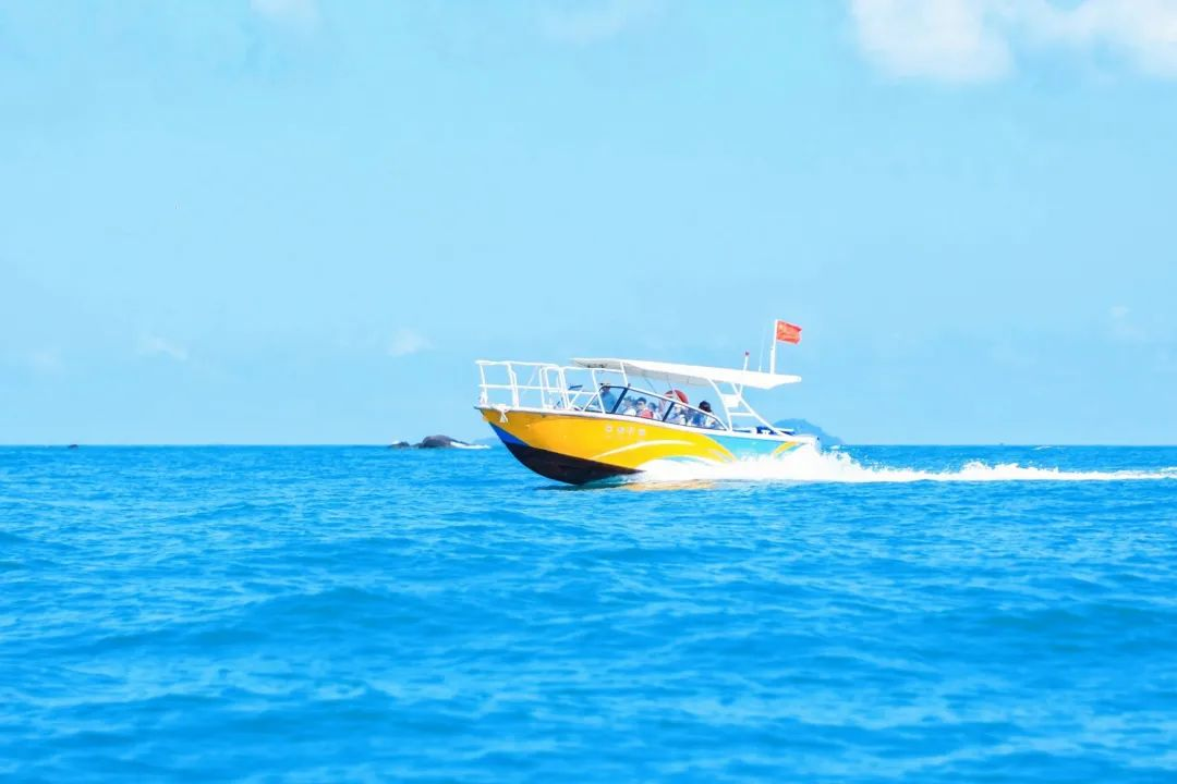 三亚旅游文化发展集团有限公司 三亚旅游文化发展集团有限公司