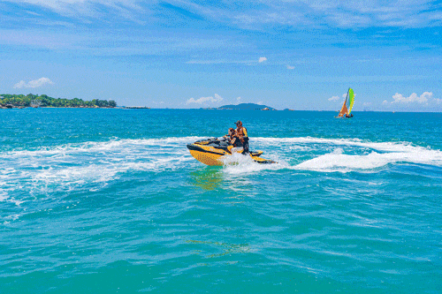 三亚旅游文化发展集团有限公司 三亚旅游文化发展集团有限公司
