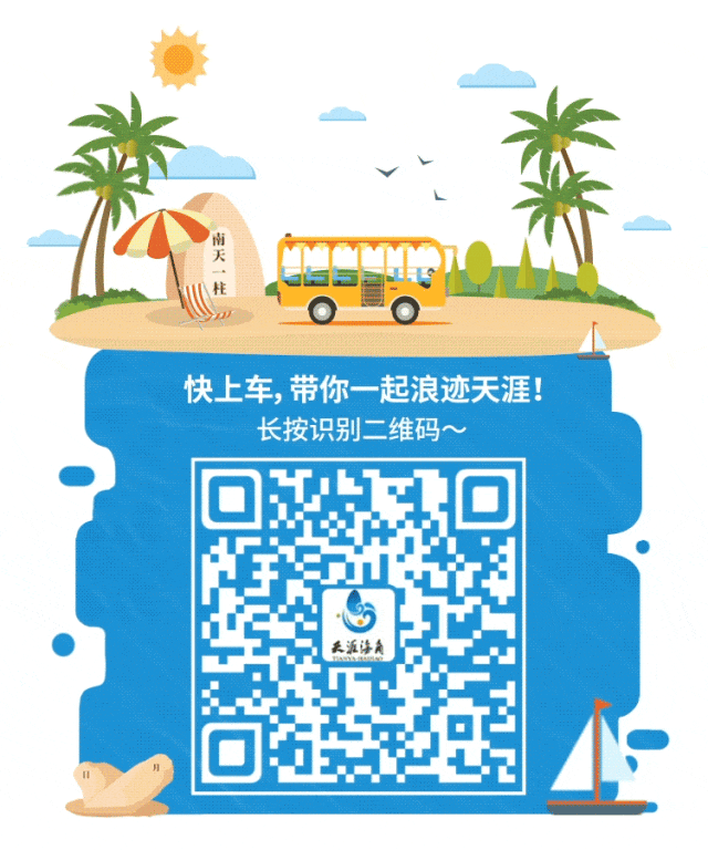 三亚旅游文化发展集团有限公司 三亚旅游文化发展集团有限公司