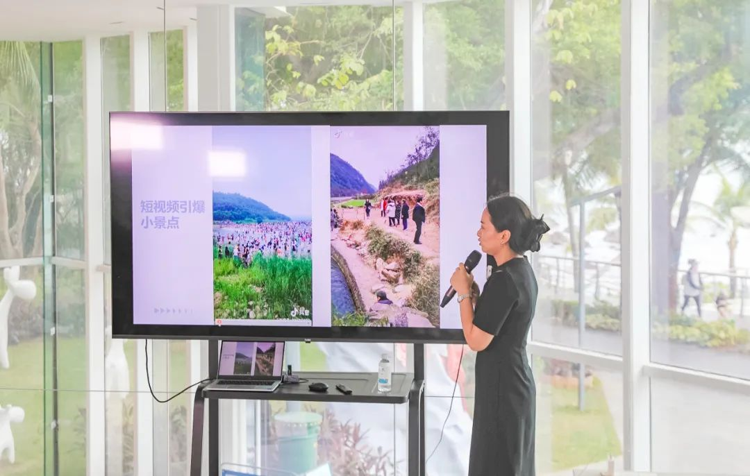 三亚旅游文化发展集团有限公司 三亚旅游文化发展集团有限公司