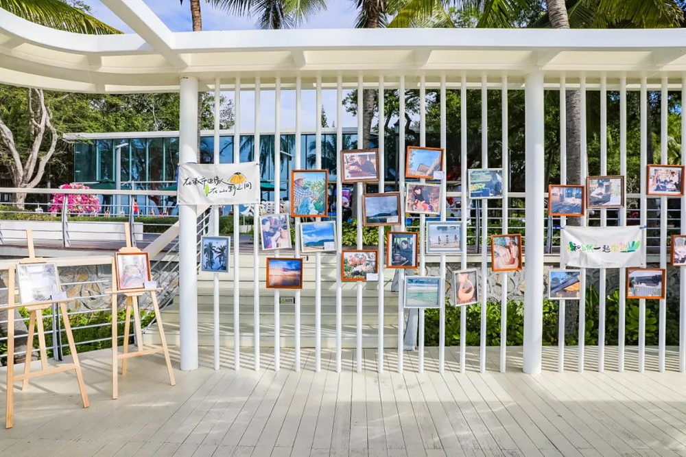 三亚旅游文化发展集团有限公司 三亚旅游文化发展集团有限公司