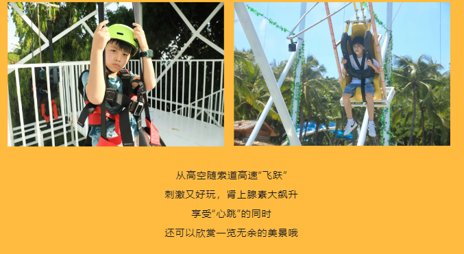 三亚旅游文化发展集团有限公司