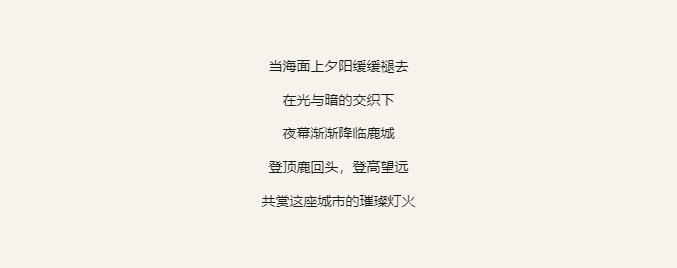 三亚旅游文化发展集团有限公司