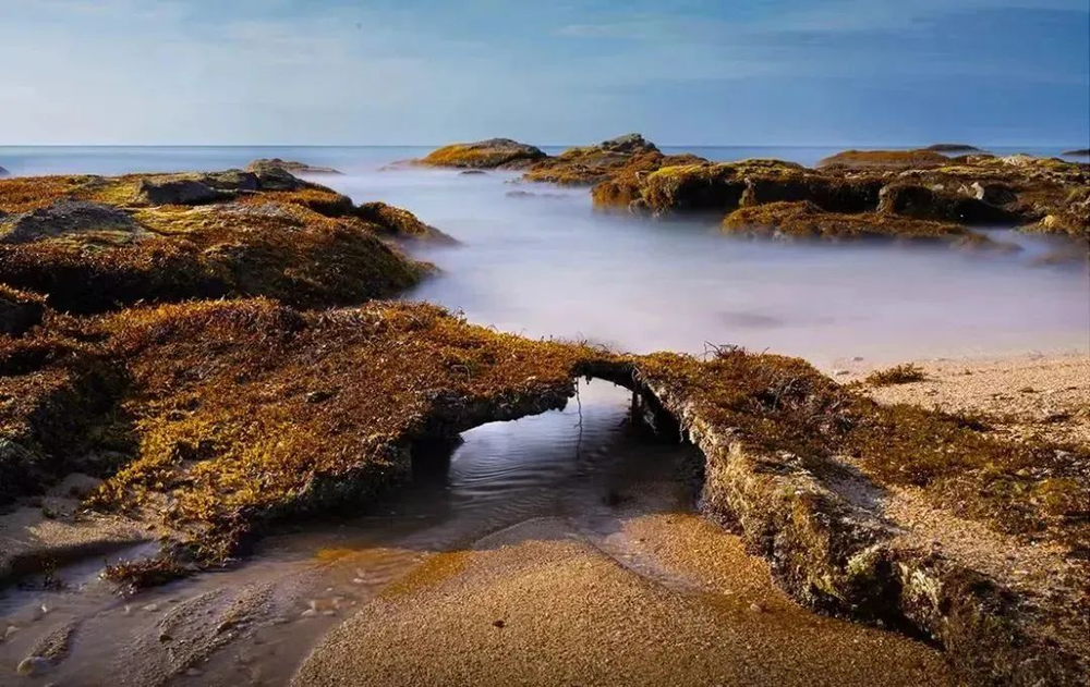 三亚旅游文化发展集团有限公司