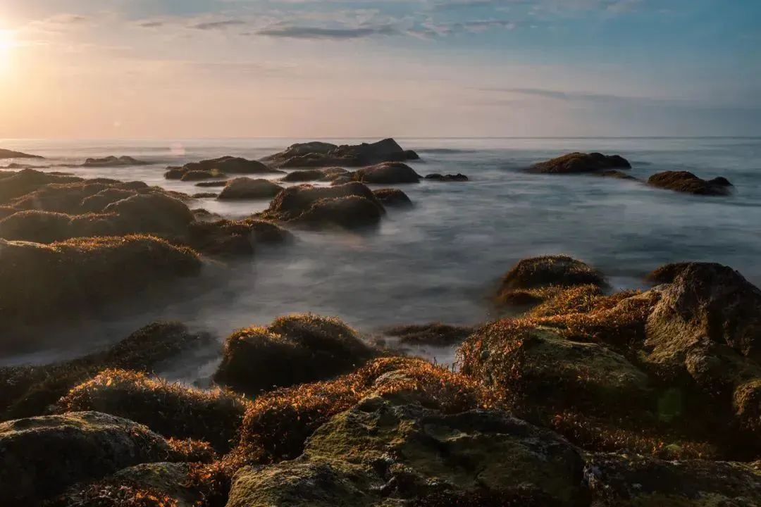 三亚旅游文化发展集团有限公司