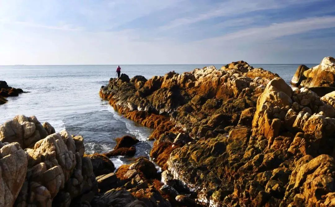 三亚旅游文化发展集团有限公司