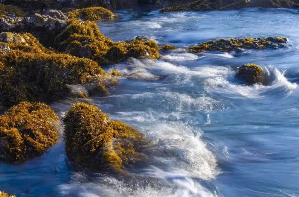 三亚旅游文化发展集团有限公司