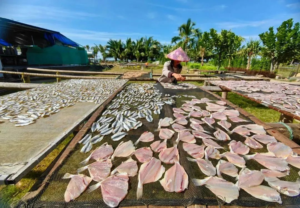 三亚旅游文化发展集团有限公司