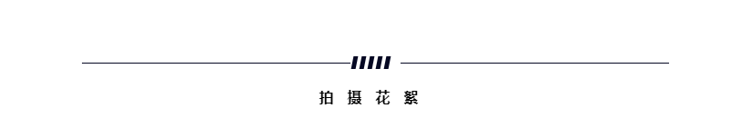 三亚旅游文化发展集团有限公司