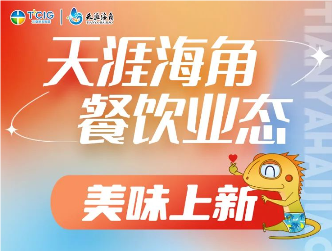 三亚旅游文化发展集团有限公司