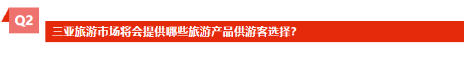 三亚旅游文化发展集团有限公司 三亚旅游文化发展集团有限公司