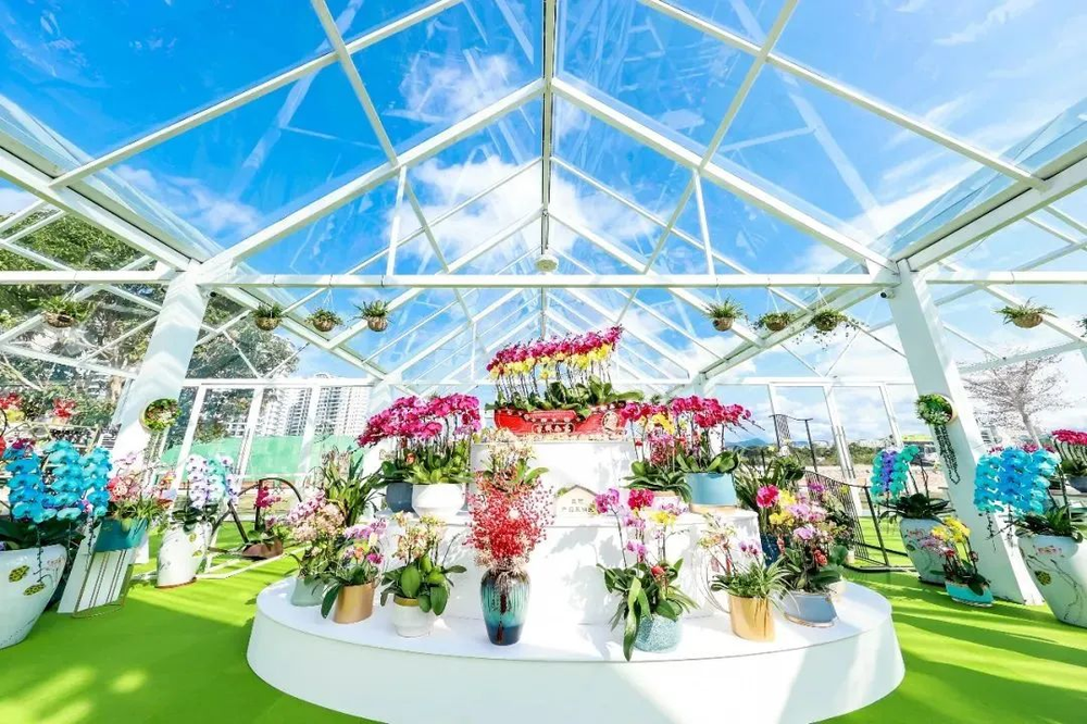 三亚旅游文化发展集团有限公司 三亚旅游文化发展集团有限公司