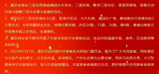 三亚旅游文化发展集团有限公司