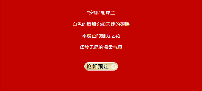 三亚旅游文化发展集团有限公司