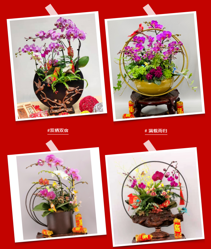 三亚旅游文化发展集团有限公司