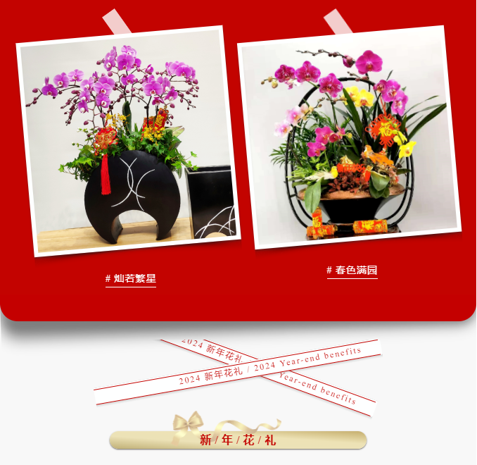 三亚旅游文化发展集团有限公司