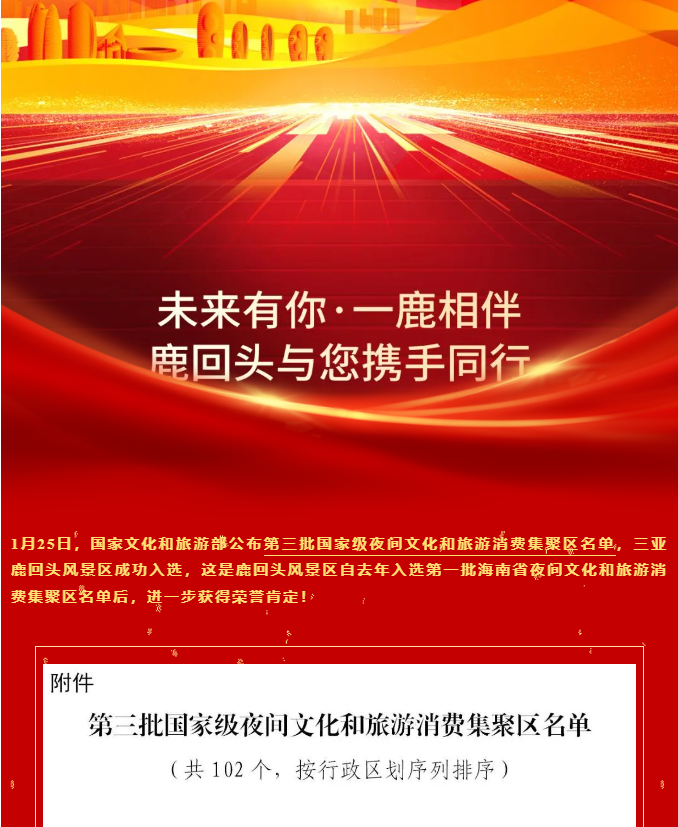 三亚旅游文化发展集团有限公司