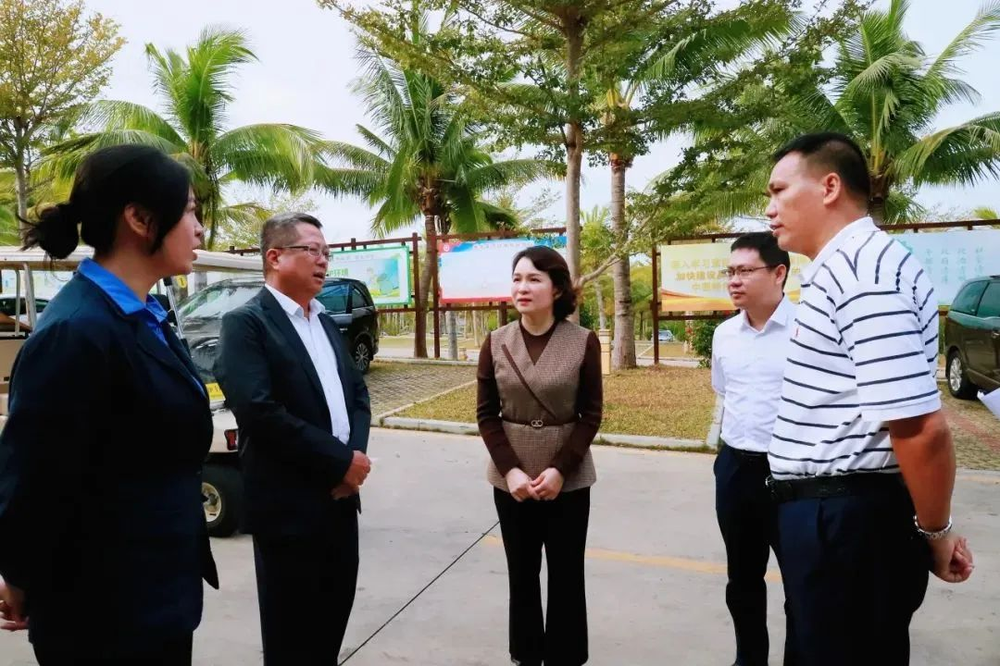 三亚旅游文化发展集团有限公司