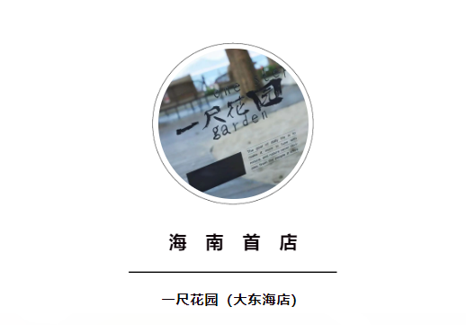 三亚旅游文化发展集团有限公司 三亚旅游文化发展集团有限公司