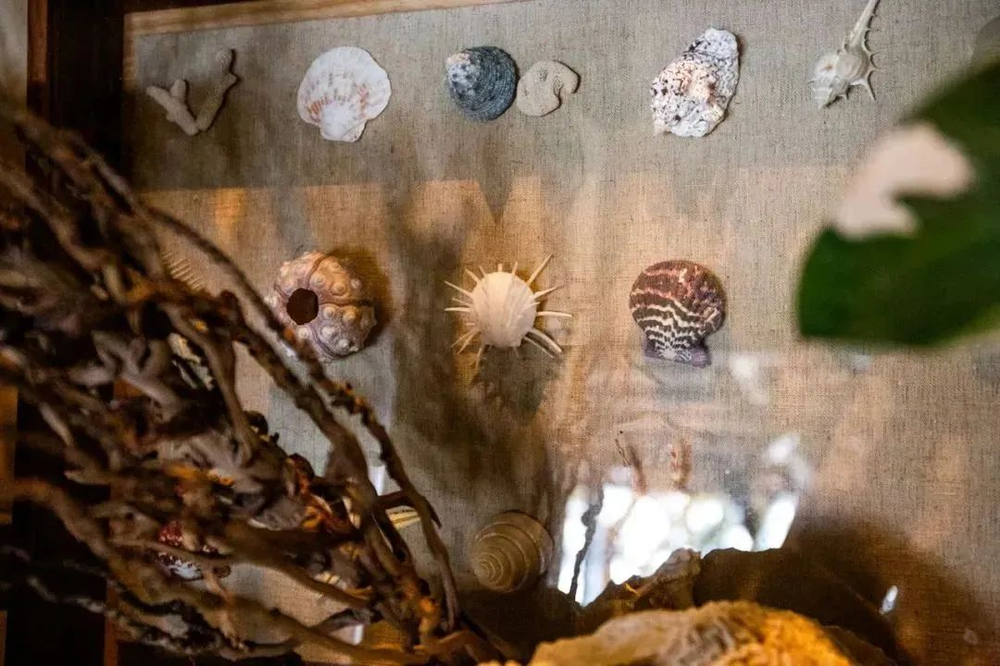 三亚旅游文化发展集团有限公司 三亚旅游文化发展集团有限公司