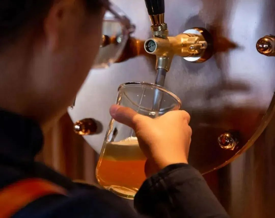 三亚旅游文化发展集团有限公司 三亚旅游文化发展集团有限公司