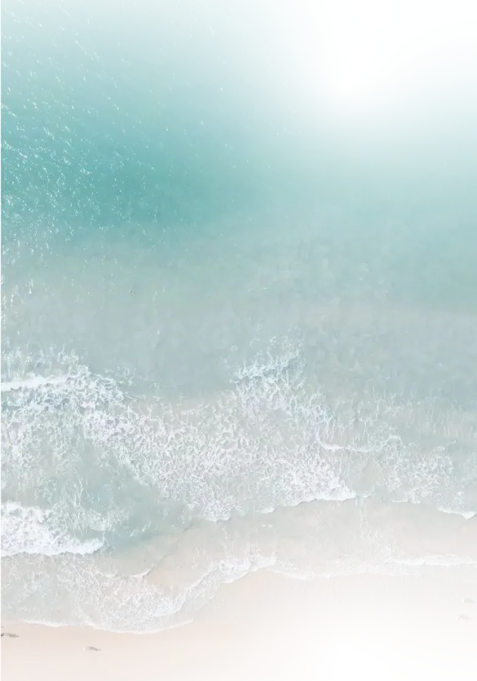 三亚旅游文化发展集团有限公司 三亚旅游文化发展集团有限公司